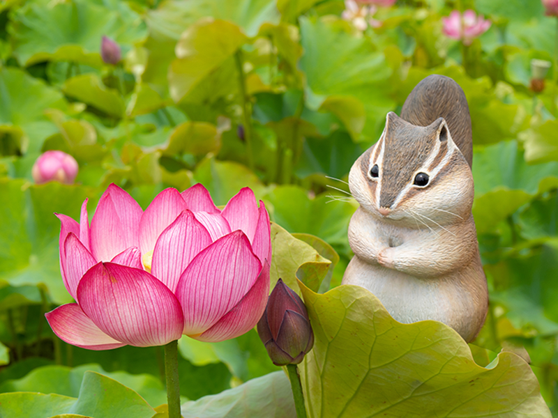 アニマルカービング01