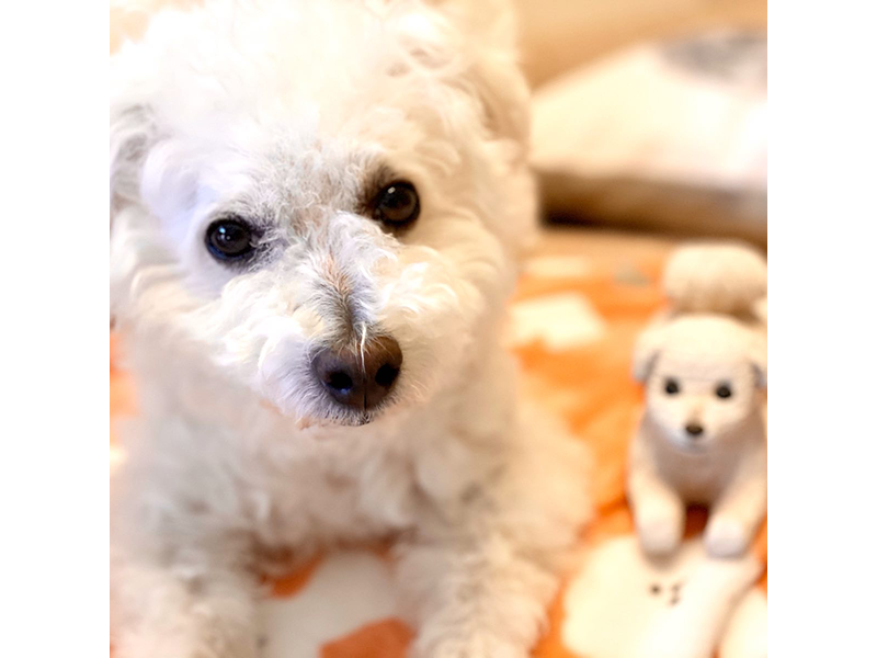 ポートレイト05