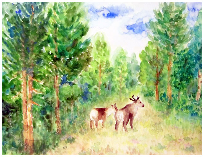 スウェーデンの森