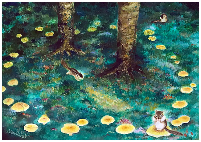 フェアリーサークル